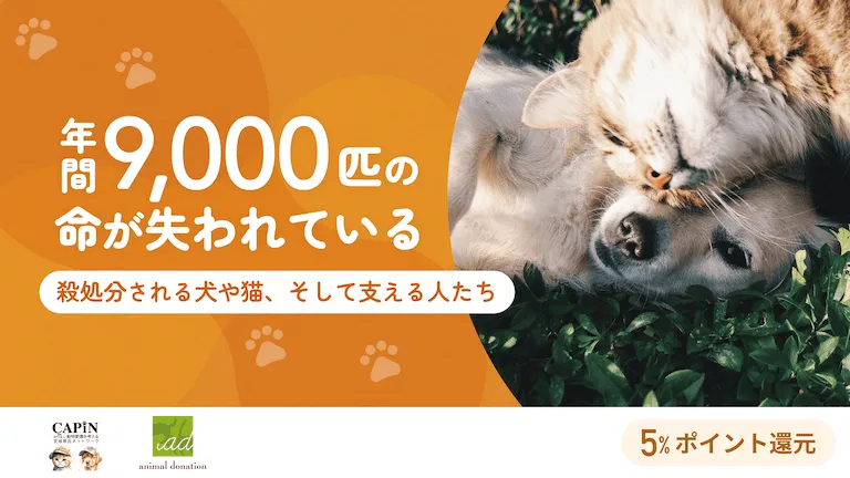 年間9,000匹の命が失われているーー殺処分される犬や猫、そして支える人たち